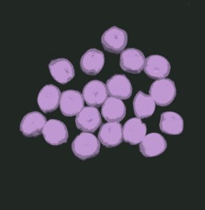 Pompoms 1/2" - Lavender x 20